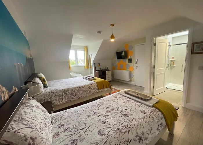 Mon Petit Cottage - B&B And House In Bunclody