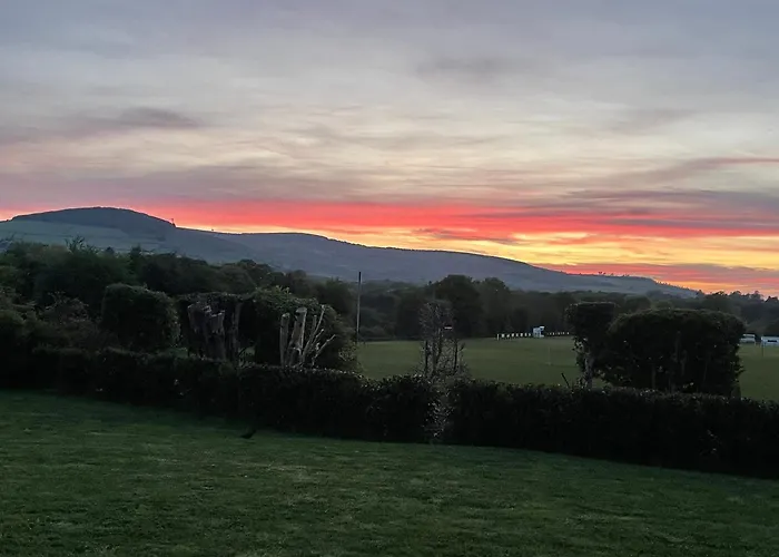 Mon Petit Cottage - B&B And House In Bunclody